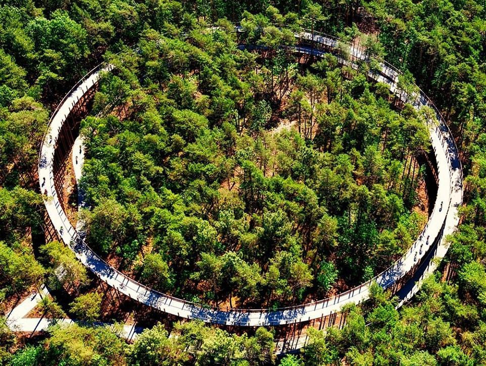 Đường đạp xe xuyên cây ở Bosland là Dự án cơ sở hạ tầng tốt nhất. Nằm trong khu bảo tồn thiên nhiên Pijnven gần thị trấn Bosland (Bỉ), con đường quanh co qua những ngọn cây, uốn lượn thành vòng tròn kép với tổng độ dài 700 m. Dezeen cho biết: "Các cột của cây cầu xe đạp bằng thép phong hóa, đặt luân phiên cách nhau 1-3 m, tượng trưng cho những thân cây thông thẳng tắp. Điều này đảm bảo công trình hòa hợp với môi trường".