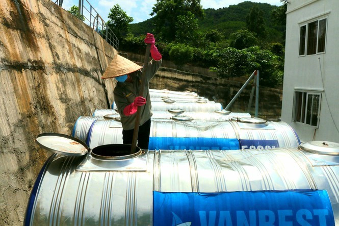 Nuoc mam cua loai hai san dat nhu vang rong-Hinh-2