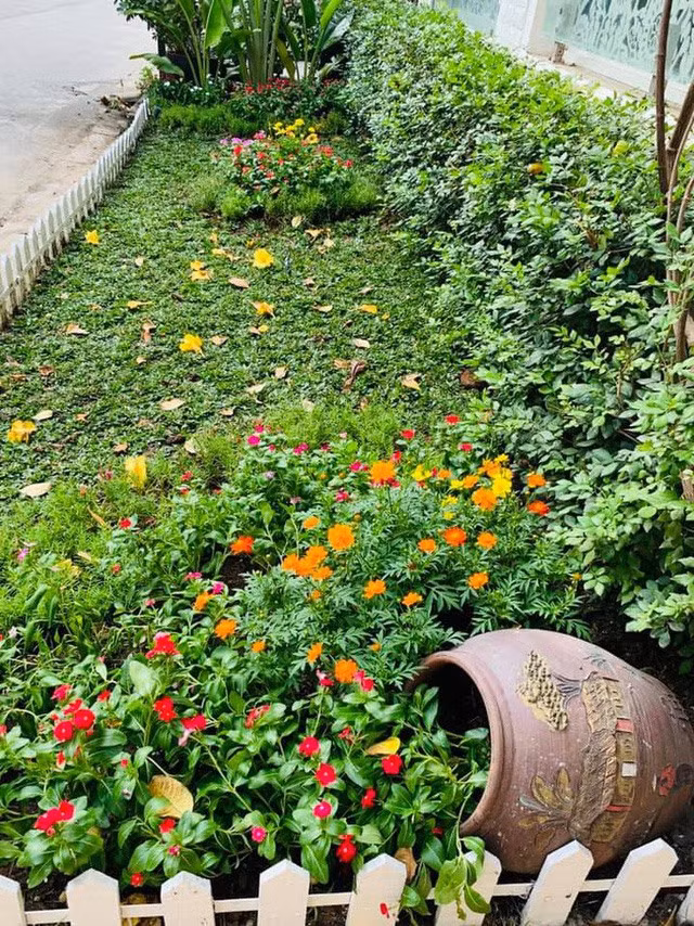 Một góc nhỏ trồng nhiều hoa tươi trong vườn. 