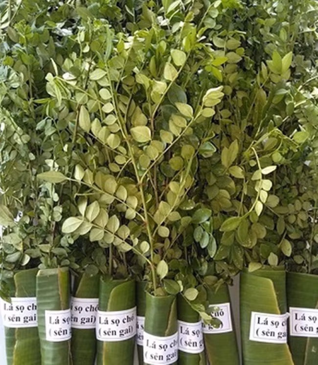 Thu moc hoang bo bui bong 'len doi', co nguoi kiem tien ty-Hinh-5