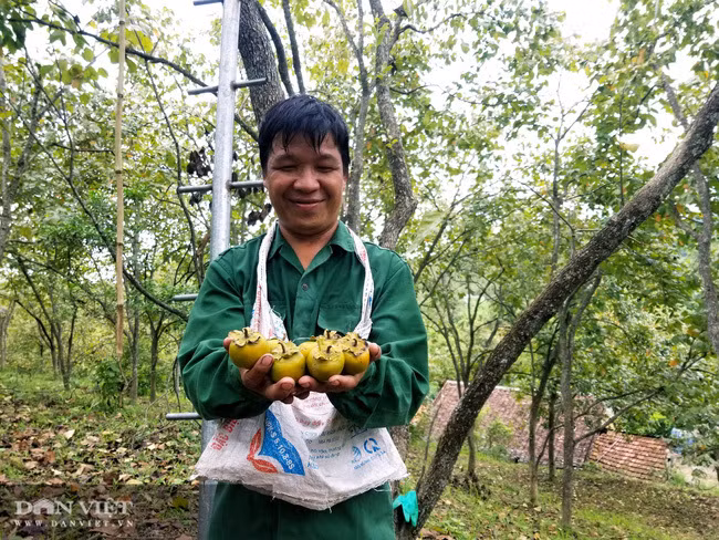 Vung dat co loai qua ten nghe nhu chim vi ngon 'tuyet pham'-Hinh-5