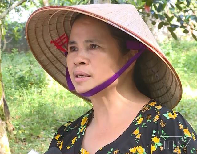 Giong mit la khong lo, moi nam thu loi 300 trieu