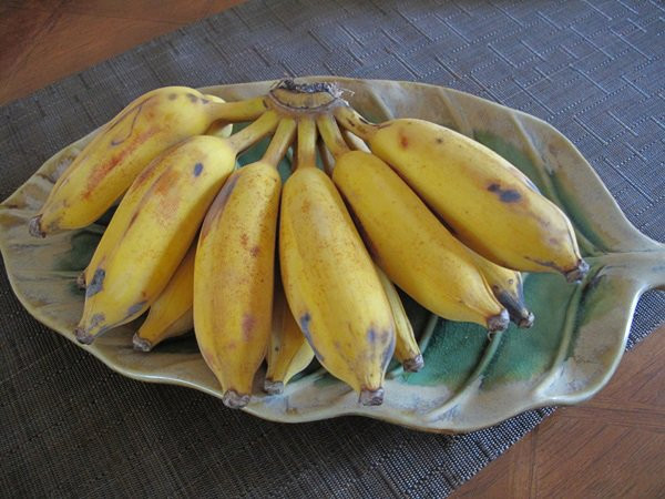 Phu nu lam dieu nay truoc khi an chuoi mo thua tu bien mat-Hinh-4