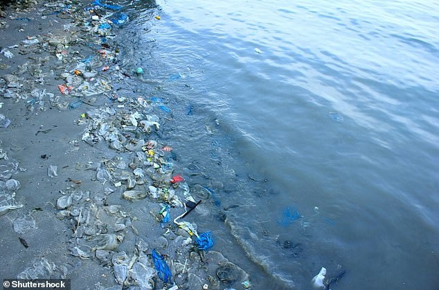 Tim thay rac nhua dai 30cm trong bung rua bien xanh