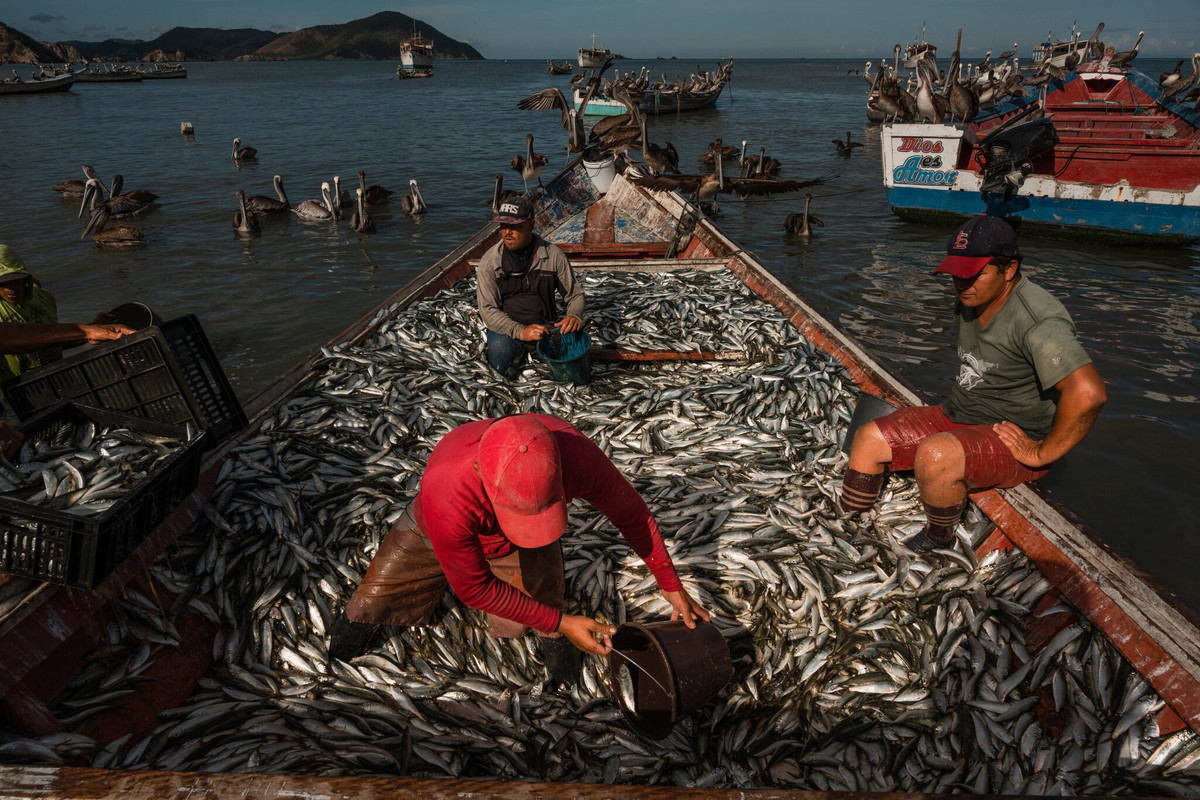 Nhung mon nu trang quy gia lien tiep dat vao bo bien Venezuela-Hinh-6