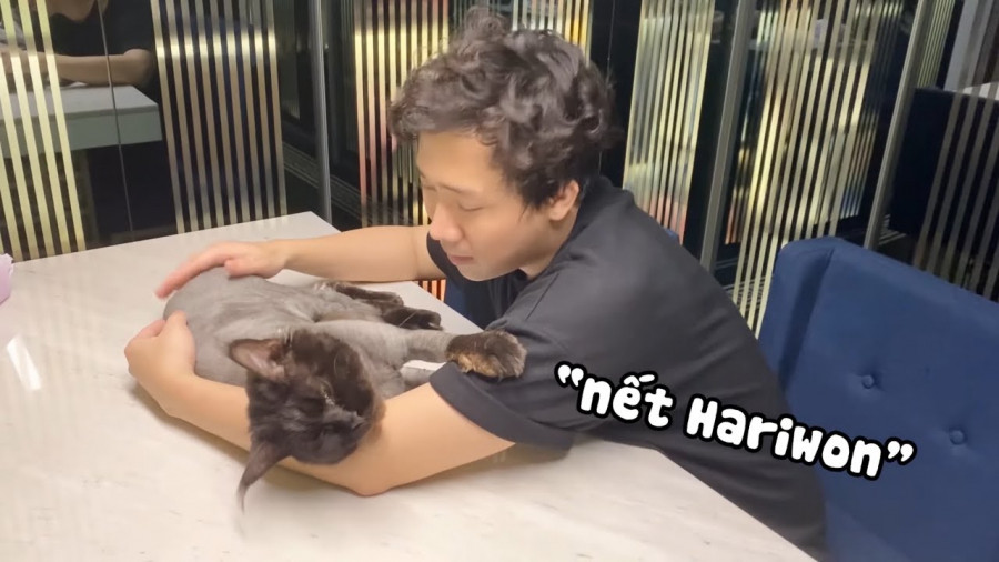 Trấn Thành khóc thét khi Hari Won “cạo sạch lông” thú cưng - Hình 5 Tran Thanh khoc thet khi Hari Won “cao sach long” thu cung-Hinh-5