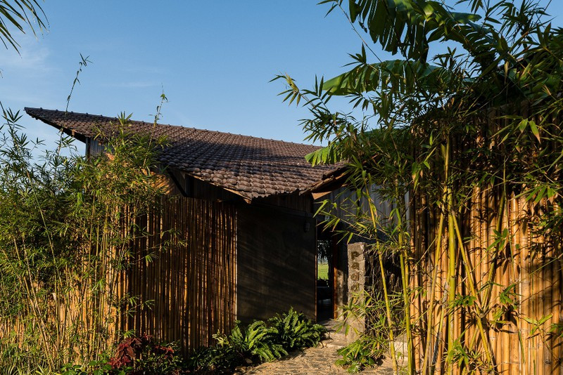 Chet me, chet met voi cong trinh dep va doc giua dong ruong-Hinh-12