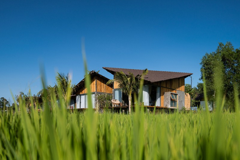 Chet me, chet met voi cong trinh dep va doc giua dong ruong