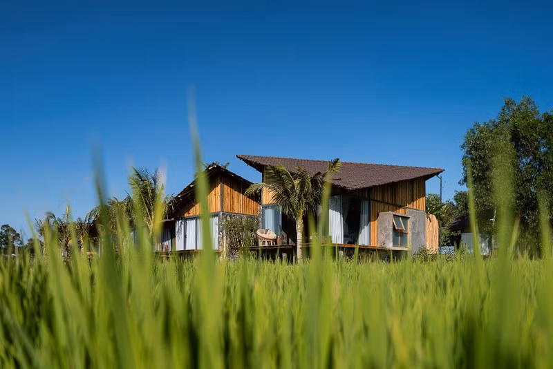 Chet me, chet met voi cong trinh dep va doc giua dong ruong