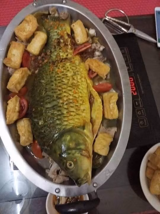 Tiet lo bi mat ca chep nuoi gan mac ca song ban khap cho-Hinh-4