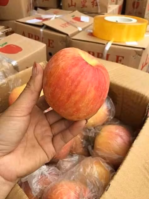 Nguon goc loai tao da sieu re duoc don la dac san Ha Giang-Hinh-4