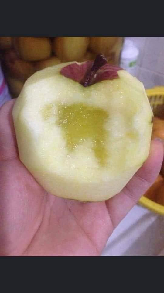 Nguon goc loai tao da sieu re duoc don la dac san Ha Giang-Hinh-6