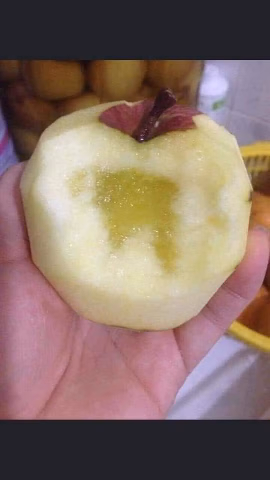 Nguon goc loai tao da sieu re duoc don la dac san Ha Giang-Hinh-6