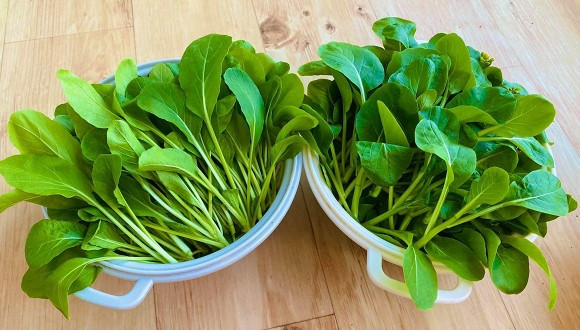 Sang nuoc ngoai dinh cu cung chong, co gai xot ruot vi rau dat nhu vang-Hinh-15