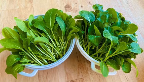 Sang nuoc ngoai dinh cu cung chong, co gai xot ruot vi rau dat nhu vang-Hinh-15