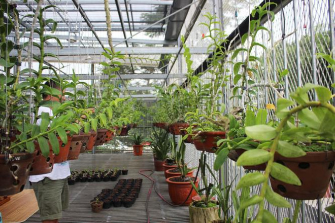 Gioi choi lan tiet lo ve cac 'chau khong dong' nhung thu bac ty-Hinh-3