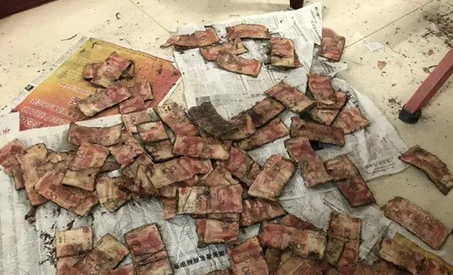 Chôn hơn 6 tỷ xuống đất để cất, 5 năm sau đào lên sốc nặng - Hình 2 Chon hon 6 ty xuong dat de cat, 5 nam sau dao len soc nang-Hinh-2