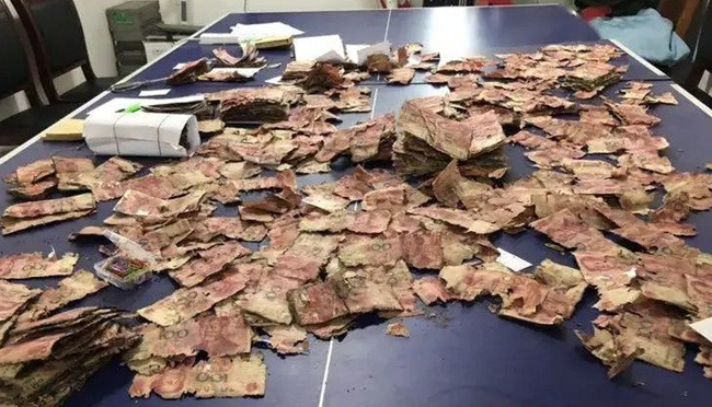 Chôn hơn 6 tỷ xuống đất để cất, 5 năm sau đào lên sốc nặng - Hình 3 Chon hon 6 ty xuong dat de cat, 5 nam sau dao len soc nang-Hinh-3