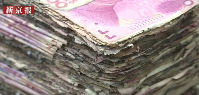 Chôn hơn 6 tỷ xuống đất để cất, 5 năm sau đào lên sốc nặng - Hình 7 Chon hon 6 ty xuong dat de cat, 5 nam sau dao len soc nang-Hinh-7