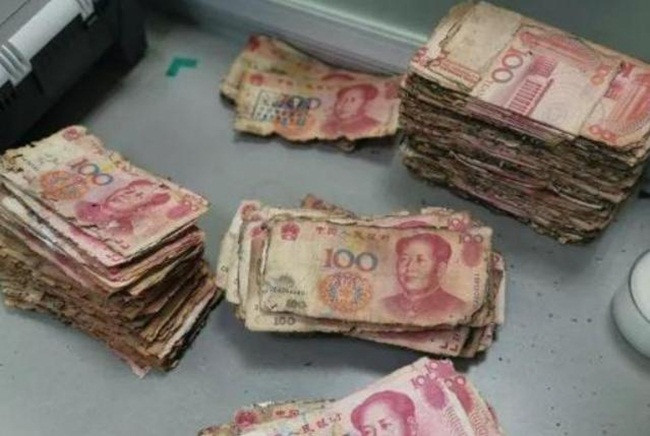 Chôn hơn 6 tỷ xuống đất để cất, 5 năm sau đào lên sốc nặng - Hình 6 Chon hon 6 ty xuong dat de cat, 5 nam sau dao len soc nang-Hinh-6