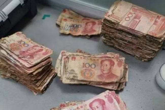 Nhiều tờ tiền bị mốc, rách và có những tờ dính chặt vào nhau sau nhiều năm bị chôn dưới đất.