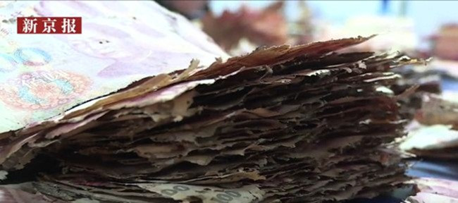 Chôn hơn 6 tỷ xuống đất để cất, 5 năm sau đào lên sốc nặng - Hình 11 Chon hon 6 ty xuong dat de cat, 5 nam sau dao len soc nang-Hinh-11