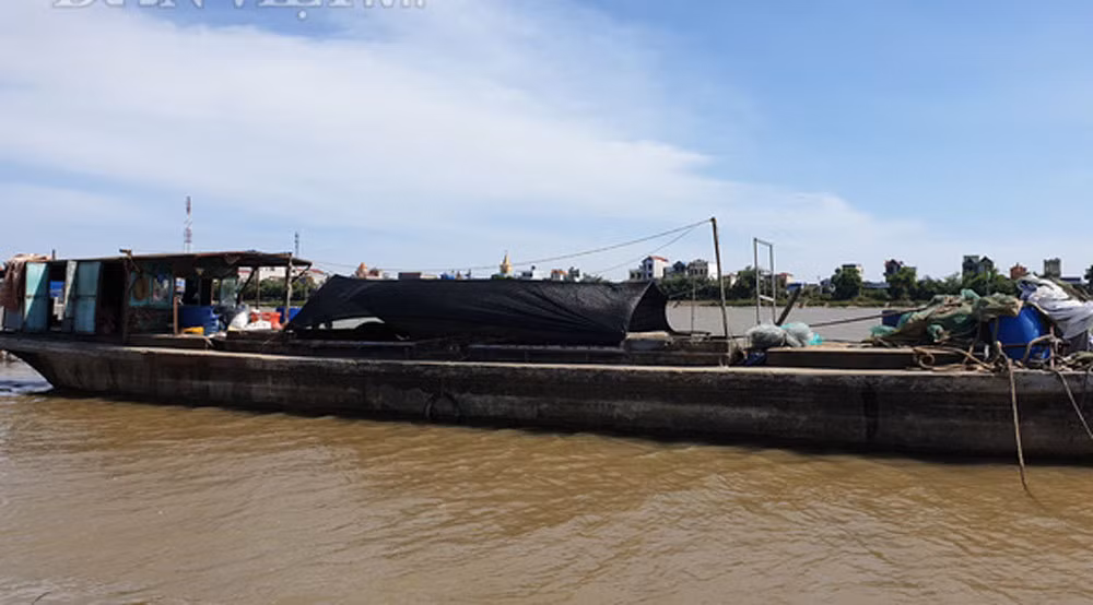 Chang Robinson giua oc dao, cach lam giau 'doc' nhat tinh Thai Binh-Hinh-2