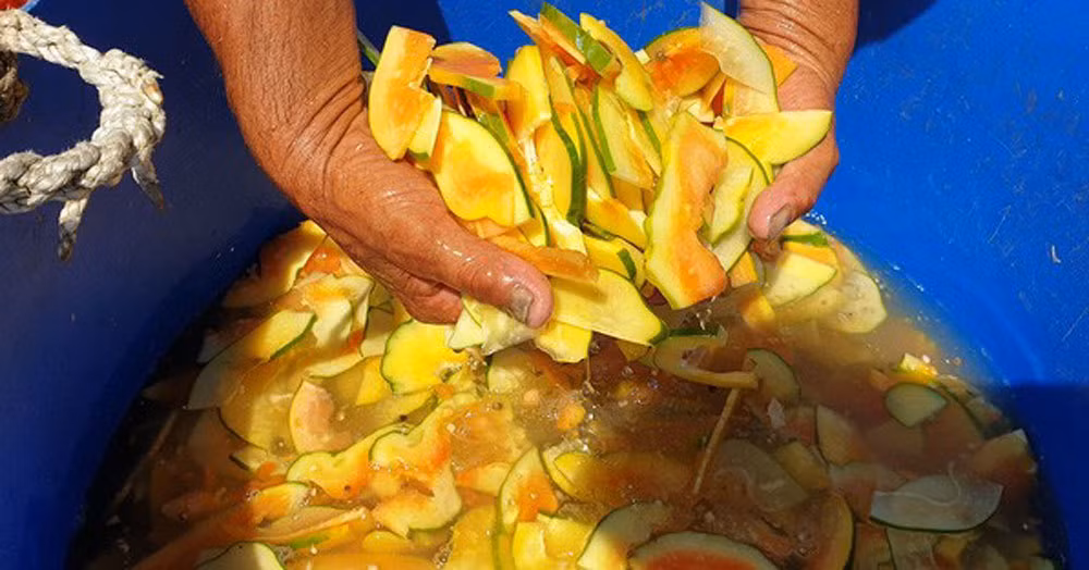 Chang Robinson giua oc dao, cach lam giau 'doc' nhat tinh Thai Binh-Hinh-4