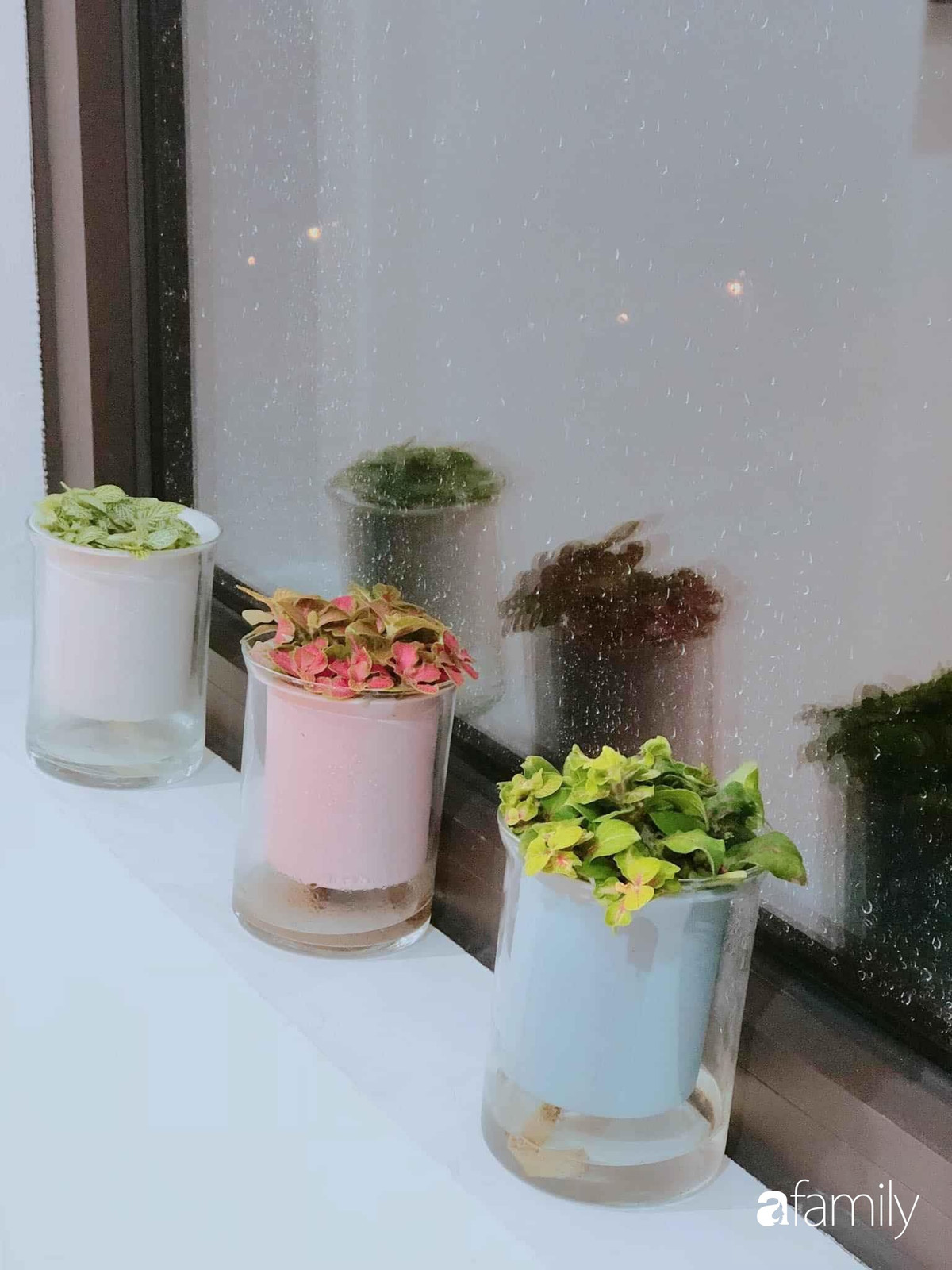 Bat mi cach decor don gian giup can ho 60m² luon thoang sang-Hinh-33