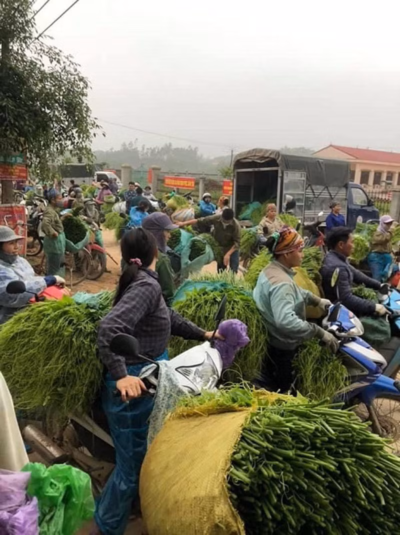 Tiet lo dang so, khong nhung thuoc khong dam ban sau rieng-Hinh-4