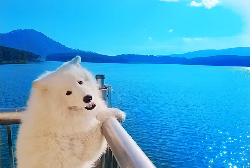 Di du lich phai check-in cung thu cung moi 'trendy'-Hinh-3