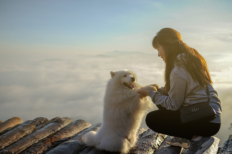 Di du lich phai check-in cung thu cung moi 'trendy'-Hinh-12