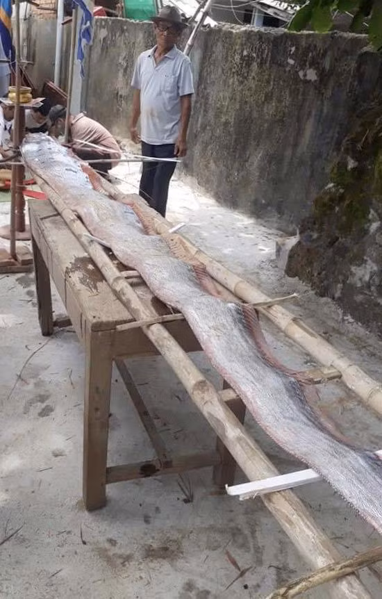 Quang Ngai: Hiem thay ca ho khung dai 4,5 m tap vao bien Binh Hai