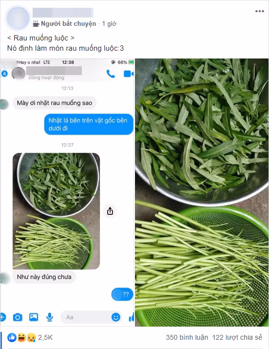 Thanh nien suyt ngat khi ban nhat rau muong sai qua sai