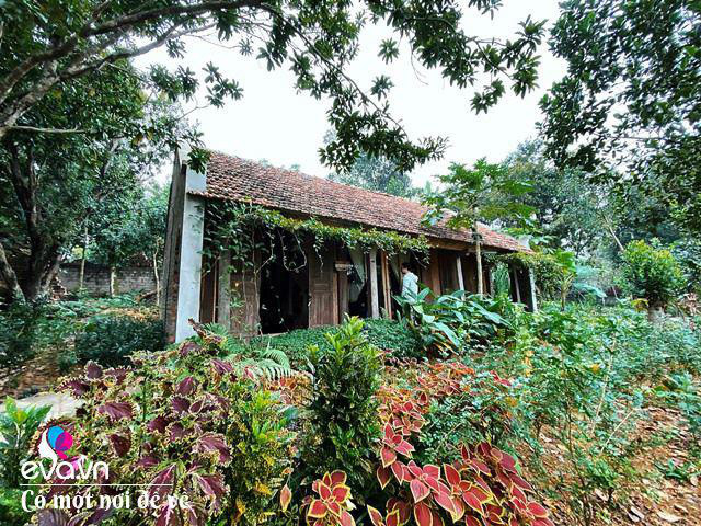 Chán nội đô khói bụi mẹ 8X dọn ra ngoại ô yên bình hệt như phim - Hình 12 Chan noi do khoi bui me 8X don ra ngoai o yen binh het nhu phim-Hinh-12