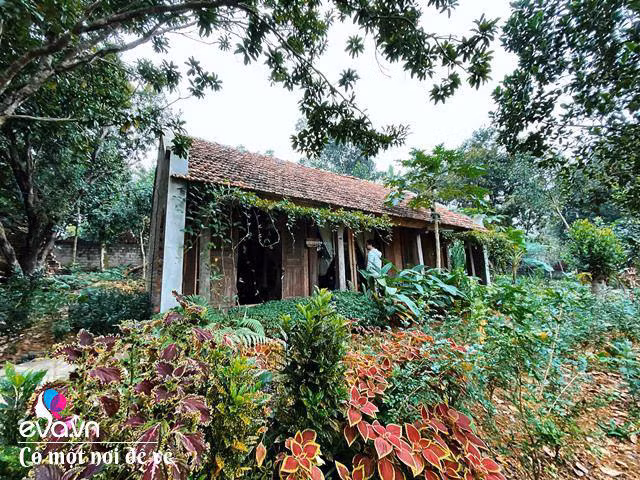 Chán nội đô khói bụi mẹ 8X dọn ra ngoại ô yên bình hệt như phim - Hình 12 Chan noi do khoi bui me 8X don ra ngoai o yen binh het nhu phim-Hinh-12