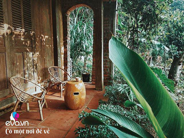 Chán nội đô khói bụi mẹ 8X dọn ra ngoại ô yên bình hệt như phim - Hình 25 Chan noi do khoi bui me 8X don ra ngoai o yen binh het nhu phim-Hinh-25