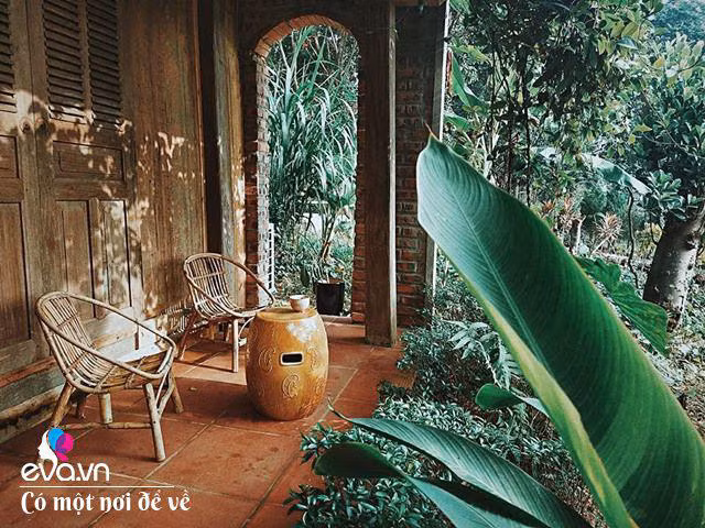 Chán nội đô khói bụi mẹ 8X dọn ra ngoại ô yên bình hệt như phim - Hình 25 Chan noi do khoi bui me 8X don ra ngoai o yen binh het nhu phim-Hinh-25