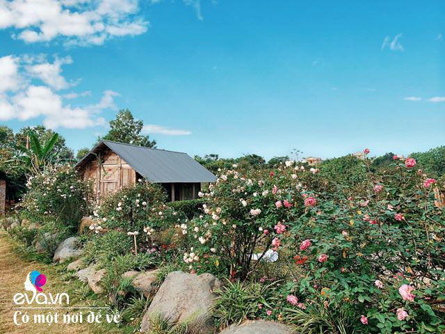 Chán nội đô khói bụi mẹ 8X dọn ra ngoại ô yên bình hệt như phim - Hình 9 Chan noi do khoi bui me 8X don ra ngoai o yen binh het nhu phim-Hinh-9