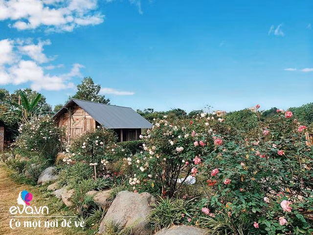 Chán nội đô khói bụi mẹ 8X dọn ra ngoại ô yên bình hệt như phim - Hình 9 Chan noi do khoi bui me 8X don ra ngoai o yen binh het nhu phim-Hinh-9