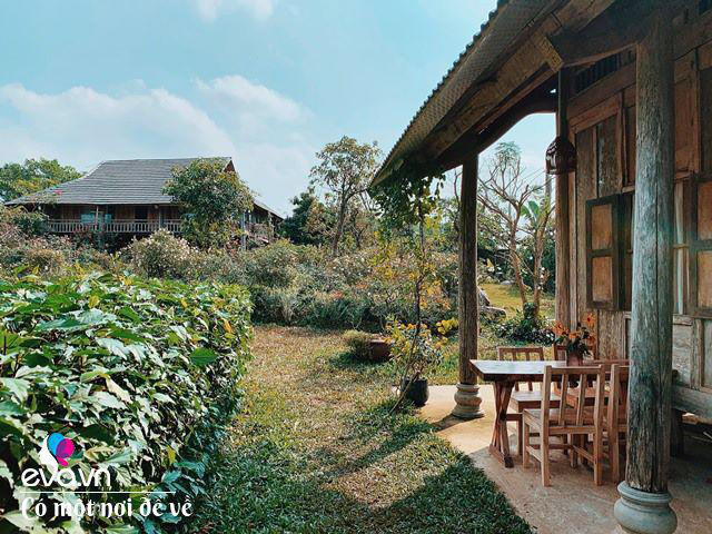 Chán nội đô khói bụi mẹ 8X dọn ra ngoại ô yên bình hệt như phim - Hình 11 Chan noi do khoi bui me 8X don ra ngoai o yen binh het nhu phim-Hinh-11