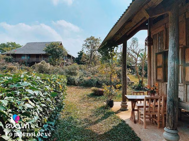 Chán nội đô khói bụi mẹ 8X dọn ra ngoại ô yên bình hệt như phim - Hình 11 Chan noi do khoi bui me 8X don ra ngoai o yen binh het nhu phim-Hinh-11