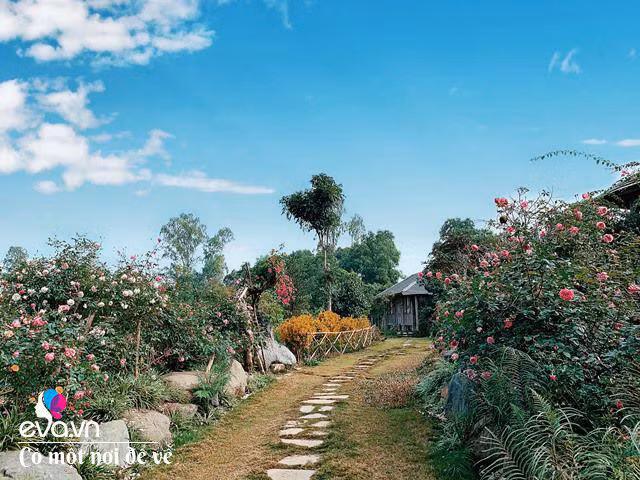 Chán nội đô khói bụi mẹ 8X dọn ra ngoại ô yên bình hệt như phim - Hình 3 Chan noi do khoi bui me 8X don ra ngoai o yen binh het nhu phim-Hinh-3