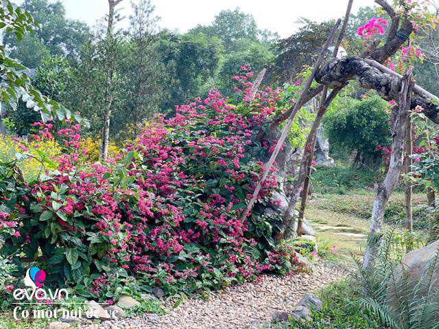 Chán nội đô khói bụi mẹ 8X dọn ra ngoại ô yên bình hệt như phim - Hình 27 Chan noi do khoi bui me 8X don ra ngoai o yen binh het nhu phim-Hinh-27