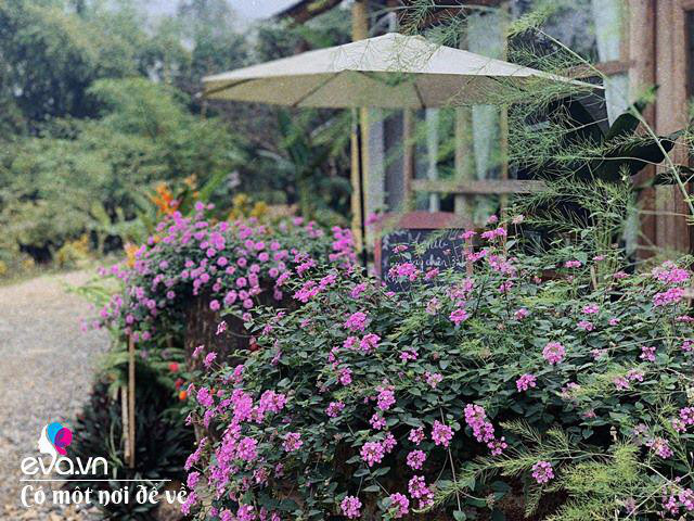 Chán nội đô khói bụi mẹ 8X dọn ra ngoại ô yên bình hệt như phim - Hình 28 Chan noi do khoi bui me 8X don ra ngoai o yen binh het nhu phim-Hinh-28