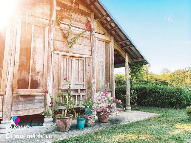 Chán nội đô khói bụi mẹ 8X dọn ra ngoại ô yên bình hệt như phim - Hình 6 Chan noi do khoi bui me 8X don ra ngoai o yen binh het nhu phim-Hinh-6