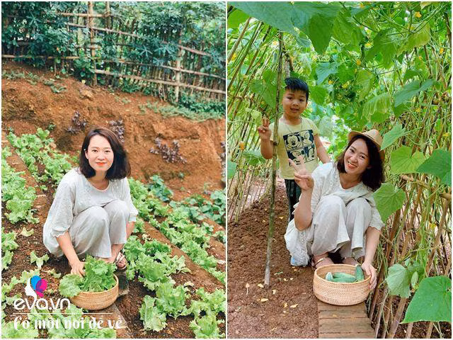 Chán nội đô khói bụi mẹ 8X dọn ra ngoại ô yên bình hệt như phim - Hình 23 Chan noi do khoi bui me 8X don ra ngoai o yen binh het nhu phim-Hinh-23