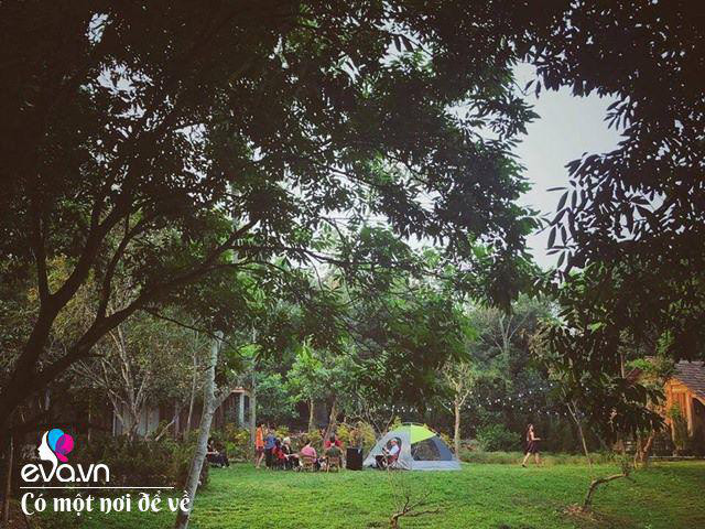 Chán nội đô khói bụi mẹ 8X dọn ra ngoại ô yên bình hệt như phim - Hình 29 Chan noi do khoi bui me 8X don ra ngoai o yen binh het nhu phim-Hinh-29