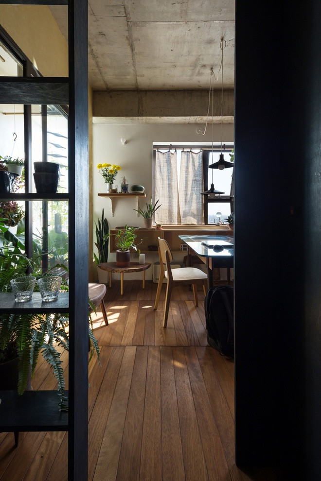 Căn hộ tuy có diện tích nhỏ nhưng vẫn tràn đầy năng lượng sống nhờ vào cây cối được bố trí khắp không gian chung.