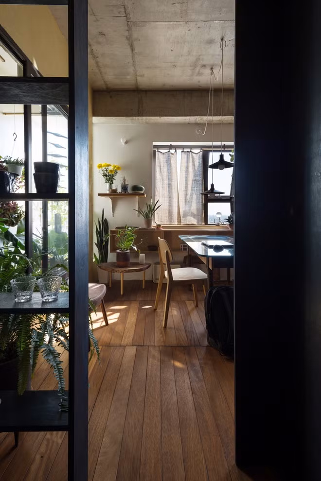 Căn hộ tuy có diện tích nhỏ nhưng vẫn tràn đầy năng lượng sống nhờ vào cây cối được bố trí khắp không gian chung.